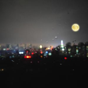 吸舌添泬两个女
